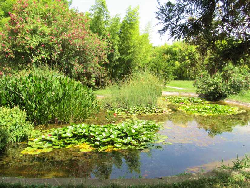 Парк Южные культуры