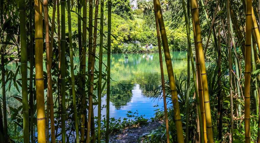 Парк Южные культуры